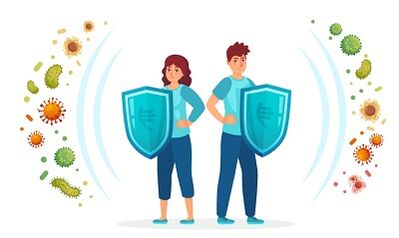 Symptômes et traitement des varices des extrémités.